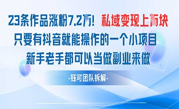 抖音AI私域变现项目网赚项目-副业赚钱-互联网创业-资源整合-影视资源无忧云创