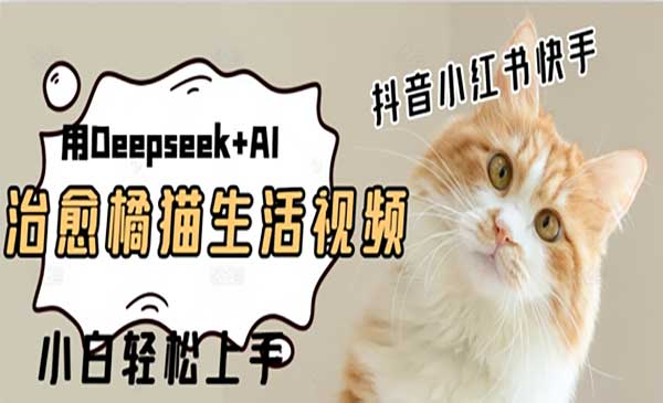 Deepseek做治愈橘猫视频网赚项目-副业赚钱-互联网创业-资源整合-影视资源无忧云创