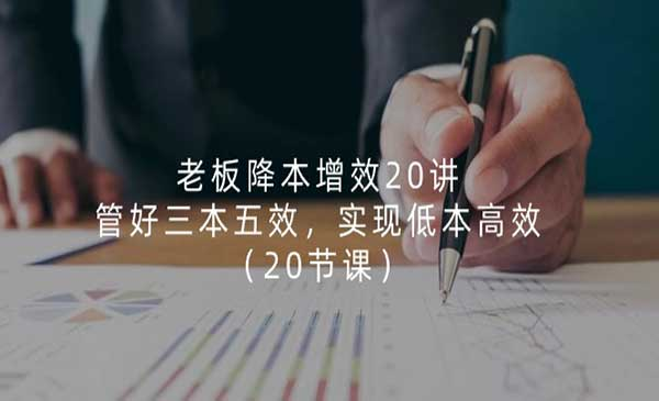 老板降本增效20讲网赚项目-副业赚钱-互联网创业-资源整合-影视资源无忧云创