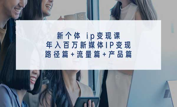 新个体IP变现课网赚项目-副业赚钱-互联网创业-资源整合-影视资源无忧云创