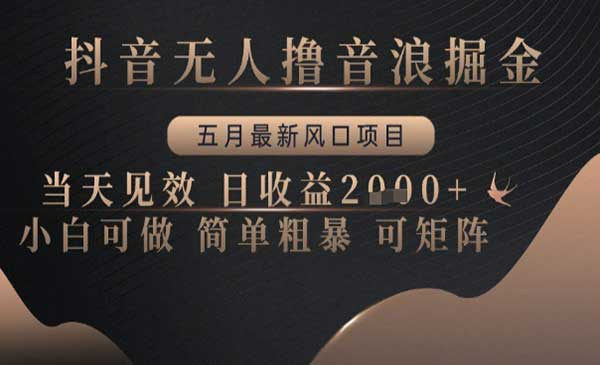 抖音无人撸音浪掘金风口项目网赚项目-副业赚钱-互联网创业-资源整合-影视资源无忧云创