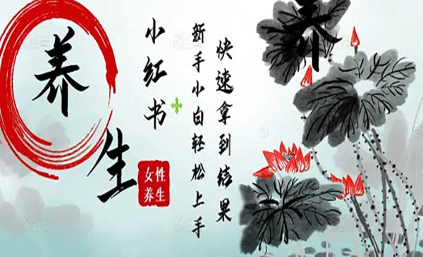 Deepseek小红书养生网赚项目-副业赚钱-互联网创业-资源整合-影视资源无忧云创