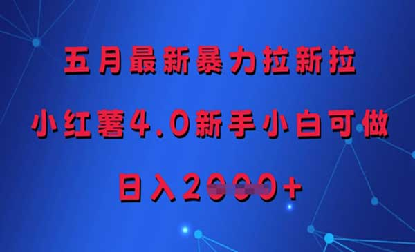 小红书暴力拉新拉4.0网赚项目-副业赚钱-互联网创业-资源整合-影视资源无忧云创