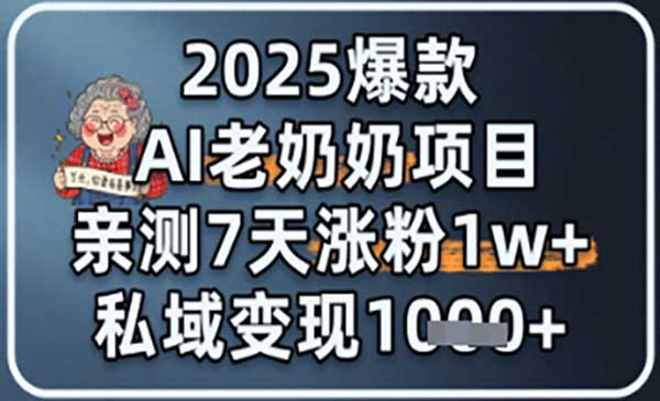 2025爆款 AI 老奶奶项目：亲测 7 天涨粉 1W+，私域变现 1k+网赚项目-副业赚钱-互联网创业-资源整合-影视资源无忧云创