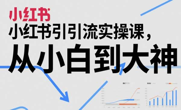 小红书引流实操课，从小白到大神网赚项目-副业赚钱-互联网创业-资源整合-影视资源无忧云创