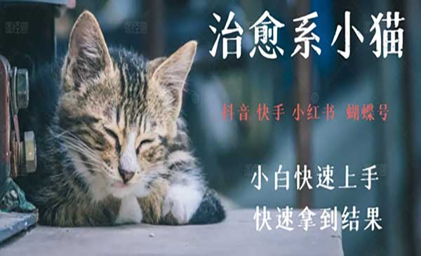 拆解，疯狂火爆！抖音，小红书，视频号小猫治愈的视频，轻松制作+快速拿到结果网赚项目-副业赚钱-互联网创业-资源整合-影视资源无忧云创