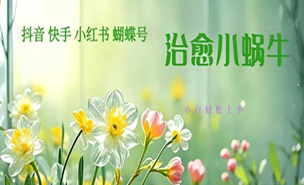 疯狂火爆！抖音，小红书，视频号蜗牛治愈的视频，轻松制作+快速拿到结果网赚项目-副业赚钱-互联网创业-资源整合-影视资源无忧云创