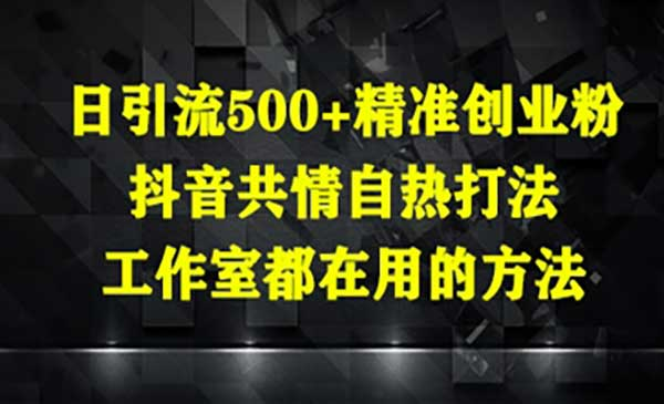 抖音共情引流创业粉网赚项目-副业赚钱-互联网创业-资源整合-影视资源无忧云创