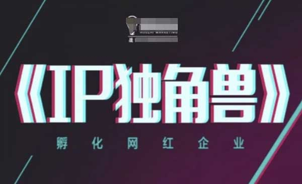 孵化网红企业IP网赚项目-副业赚钱-互联网创业-资源整合-影视资源无忧云创