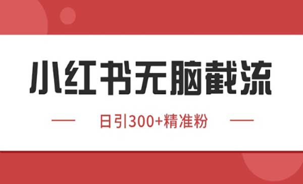 小红书野路子暴力截流网赚项目-副业赚钱-互联网创业-资源整合-影视资源无忧云创