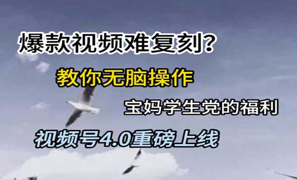 爆款视频难复刻? 教你无脑操作宝妈学生党的福利视频号4.0重磅上线网赚项目-副业赚钱-互联网创业-资源整合-影视资源无忧云创