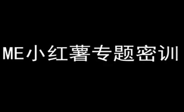 ME小红薯专题密训-小红书电商教程网赚项目-副业赚钱-互联网创业-资源整合-影视资源无忧云创