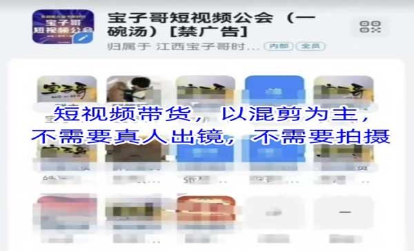 宝子哥头部团队短视频带货，以混剪为主，不需要真人出镜，不需要拍摄网赚项目-副业赚钱-互联网创业-资源整合-影视资源无忧云创