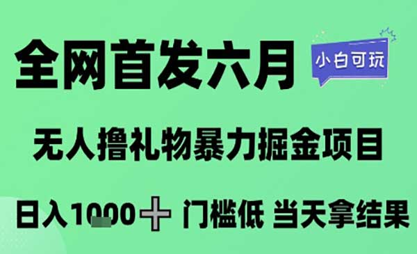 六月最新无人直播独家撸音浪打法，月入三W的项目玩法网赚项目-副业赚钱-互联网创业-资源整合-影视资源无忧云创