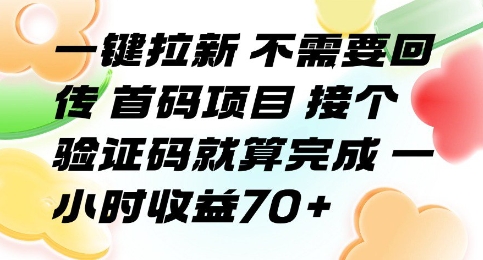 一键拉新 不需要回传 首码项目 接个验证码就算完成 一小时收益70+【揭秘】网赚项目-副业赚钱-互联网创业-资源整合-影视资源无忧云创
