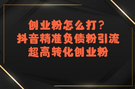创业粉怎么打？抖音精准负债粉引流，超高转化创业粉网赚项目-副业赚钱-互联网创业-资源整合-影视资源无忧云创