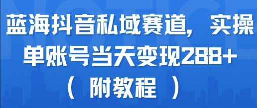 蓝海抖音私域赛道，实操单账号当天变现288+(附教程)网赚项目-副业赚钱-互联网创业-资源整合-影视资源无忧云创