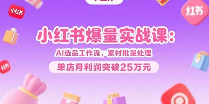 小红书爆量实战课：AI选品工作流，素材批量处理，单店月利润突破25万元网赚项目-副业赚钱-互联网创业-资源整合-影视资源无忧云创