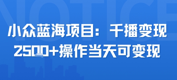 小众蓝海项目，千播变现2.5k+操作当天可变现网赚项目-副业赚钱-互联网创业-资源整合-影视资源无忧云创
