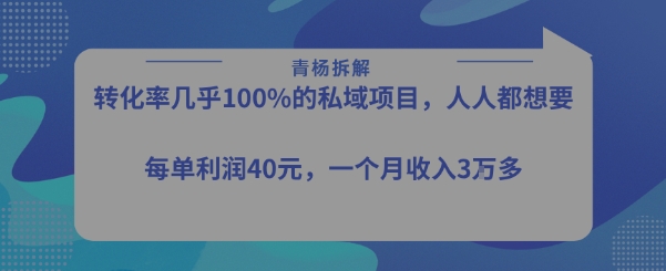 转化率最高的私域项目，每单利润40-50米，月入过1w网赚项目-副业赚钱-互联网创业-资源整合-影视资源无忧云创