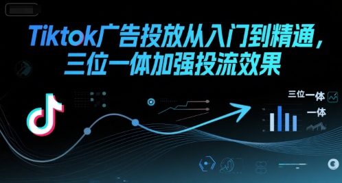 Tiktok广告投放从入门到精通，三位一体加强投流效果网赚项目-副业赚钱-互联网创业-资源整合-影视资源无忧云创