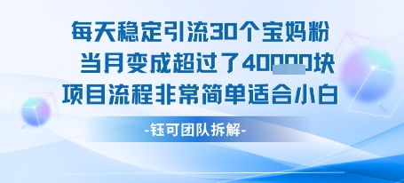 每天稳定引流30个人 当月变成超过了4个W项目流程非常简单适合小白网赚项目-副业赚钱-互联网创业-资源整合-影视资源无忧云创