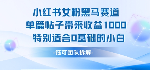 小红书女粉黑马赛道单篇帖子带来收益1k+，特别适合0基础的小白网赚项目-副业赚钱-互联网创业-资源整合-影视资源无忧云创
