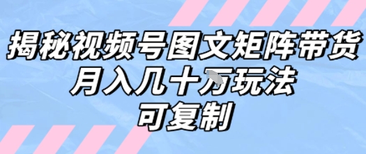 解密视频号图文矩阵带货，月入几个W的打法，可复制网赚项目-副业赚钱-互联网创业-资源整合-影视资源无忧云创