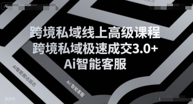 跨境私域线上高级课程，跨境私域极速成交3.0+Ai智能客服网赚项目-副业赚钱-互联网创业-资源整合-影视资源无忧云创