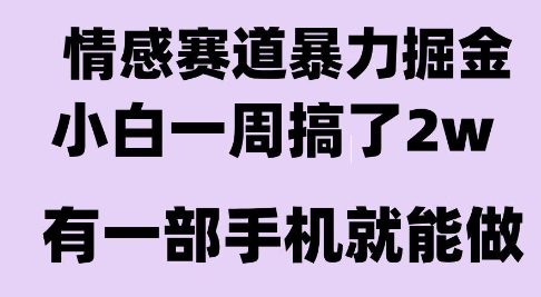 情感暴力掘金项目，新人操作一周挣了2W，长期稳定小白可做网赚项目-副业赚钱-互联网创业-资源整合-影视资源无忧云创