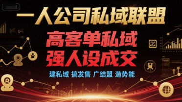 一人公司私域联盟，高客单私域，强人设成交，建私域 搞发售 广结盟 造势能网赚项目-副业赚钱-互联网创业-资源整合-影视资源无忧云创