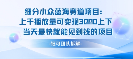 小众蓝海赛道项目：当天变现1k+适合新手操作 +适合长期玩网赚项目-副业赚钱-互联网创业-资源整合-影视资源无忧云创