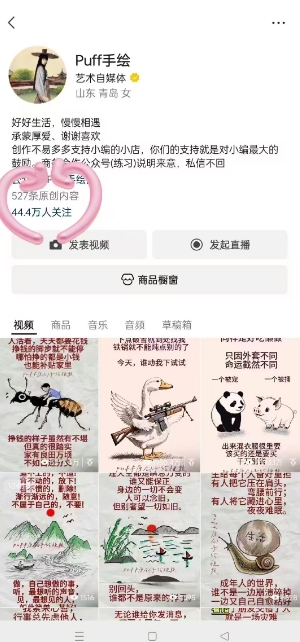 Puff手绘视频号分成项目，三天过分成计划，简单易上手，适合新手网赚项目-副业赚钱-互联网创业-资源整合-影视资源无忧云创