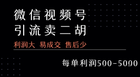 视频号卖二胡教程，利润大 易成交 售后少，一单利润5张+网赚项目-副业赚钱-互联网创业-资源整合-影视资源无忧云创