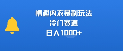 情趣内衣暴利玩法，冷门赛道，日入1k+网赚项目-副业赚钱-互联网创业-资源整合-影视资源无忧云创