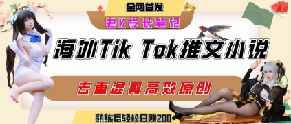 海外tiktok小说推文暴力项目，高停留率，高转化率，上手后一天搞顿饭钱不是问题网赚项目-副业赚钱-互联网创业-资源整合-影视资源无忧云创