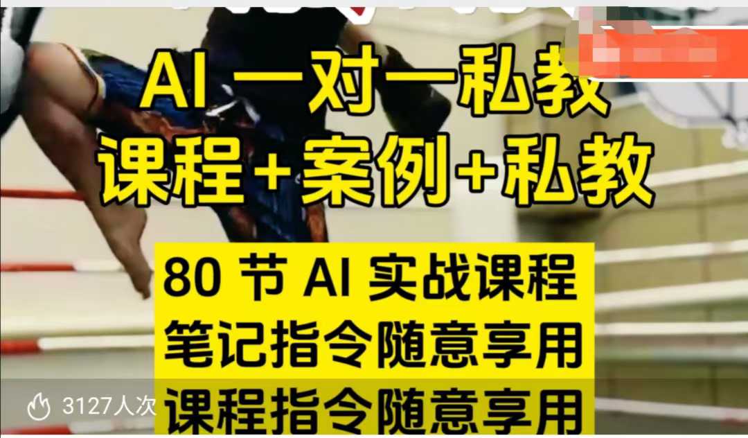 AI指令实战课，课程+案例，80节AI实战课程，笔记指令随意享用，课程指令随意享用（更新7月）网赚项目-副业赚钱-互联网创业-资源整合-影视资源无忧云创