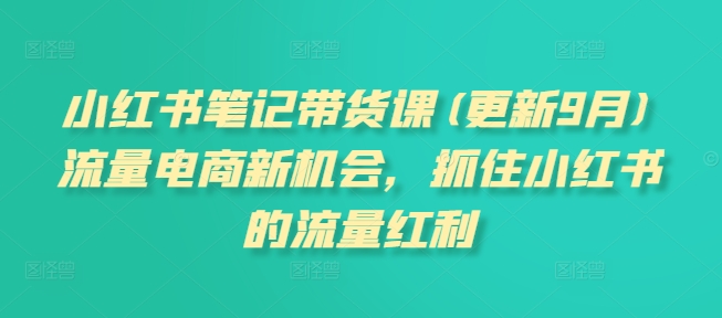 小红书笔记带货课(更新25年6月)流量电商新机会，抓住小红书的流量红利网赚项目-副业赚钱-互联网创业-资源整合-影视资源无忧云创