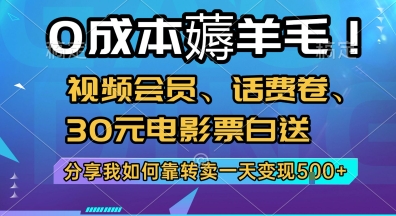 0成本薅羊毛!视频会员、话费卷、30元电影票白送，分享我如何靠转卖一天变现5张+网赚项目-副业赚钱-互联网创业-资源整合-影视资源无忧云创