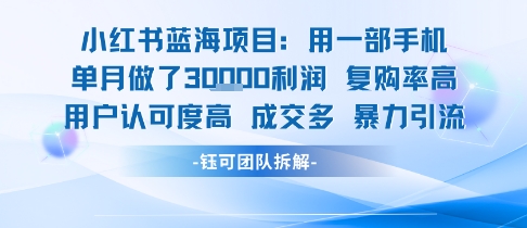 小红书蓝海项目，一部手机单月做了3W利润，小白也能月入过1W用户认可度高成交多网赚项目-副业赚钱-互联网创业-资源整合-影视资源无忧云创