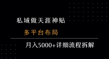 私域做天涯神贴 多平台布局 月入5k+详细流程拆解网赚项目-副业赚钱-互联网创业-资源整合-影视资源无忧云创
